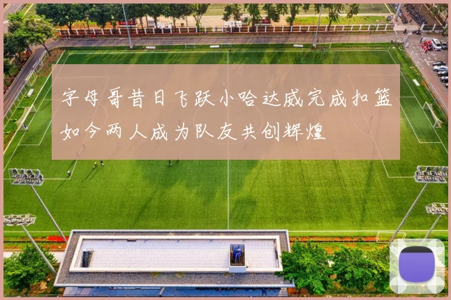 字母哥昔日飞跃小哈达威完成扣篮如今两人成为队友共创辉煌