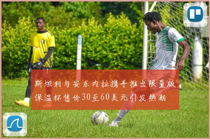 斯坦利与安东内拉携手推出限量版保温杯售价30至60美元引发热潮